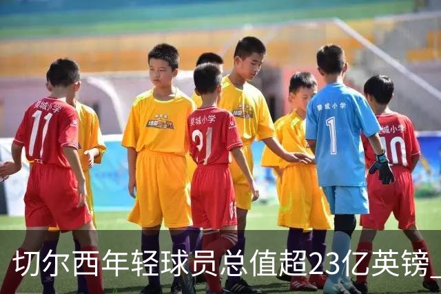 切尔西年轻球员总值超23亿英镑 位居英超第一