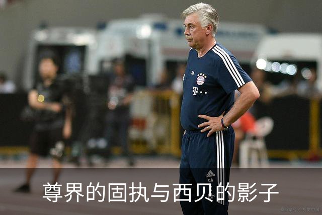 尊界的固执与西贝的影子